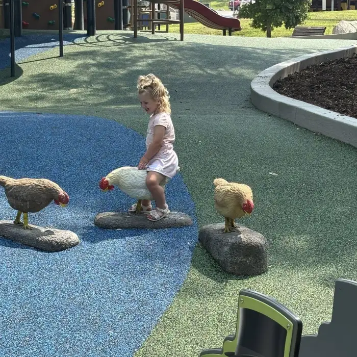 Gallery-12205 Image #1