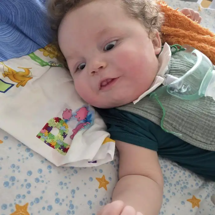 Gallery-15346 Image #1