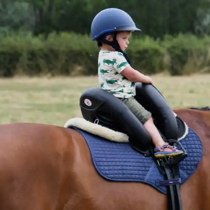 Gallery-16678 Image #2