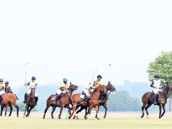 Polo on the Green 2023 Image #1