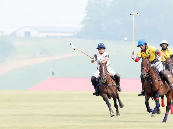 Polo on the Green 2023 Image #2