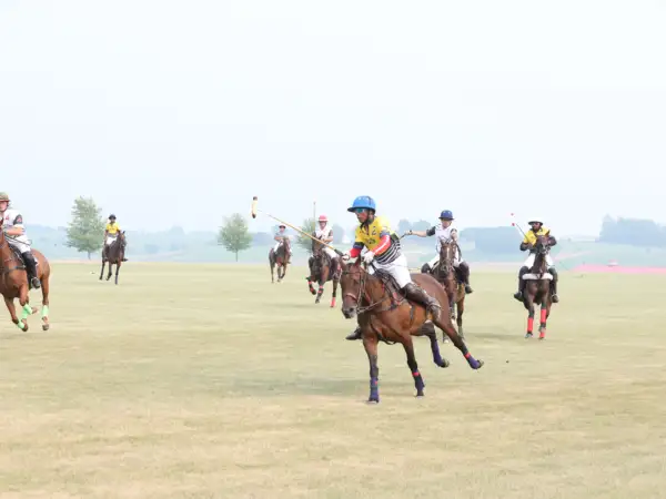 Polo on the Green 2023 Image #3